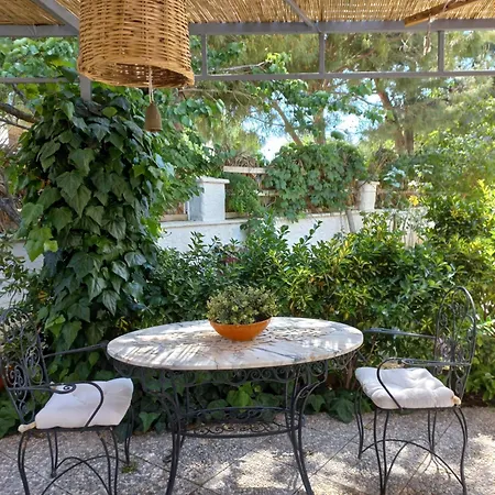 招待所 La Vista 4*